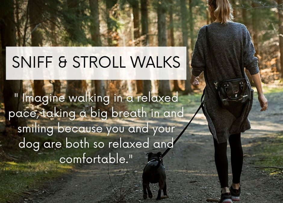 Sniff & Stroll walks – Calm your walks down